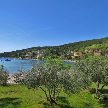 Holiday Home Andrea - Lbn415 By Interhome Labin  Dış mekan fotoğraf