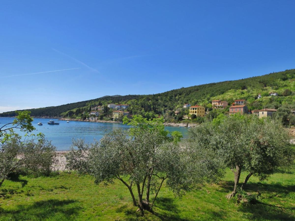 Holiday Home Andrea - Lbn415 By Interhome Labin  Dış mekan fotoğraf